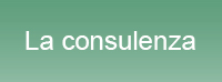 La consulenza